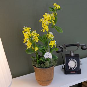 유채꽃 조화 화분 스프링 set 40cm 인테리어 테이블 장식 소품 꾸미기