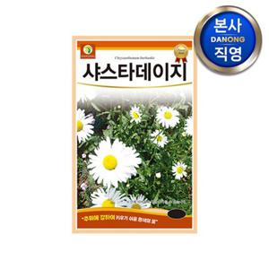 샤스타데이지 씨앗 1g . 조경 정원 화단 관상용 야생화 키우기 가꾸기 꽃씨 종자.