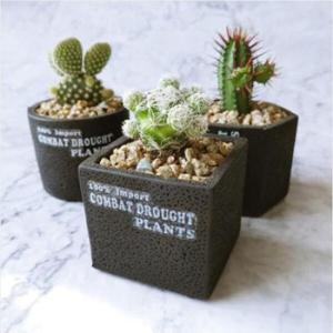 아트박스/와인앤쿡 미니멀 시멘트 인테리어 화분 1개(디자인랜덤