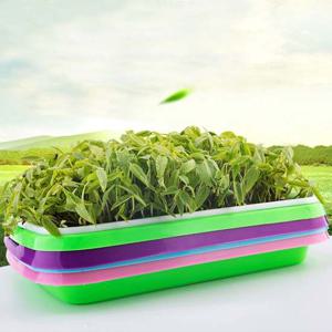 새싹 재배기 키우기 채소 씨앗 실내 씨앗 채소 실내 새싹 키우기 재배기