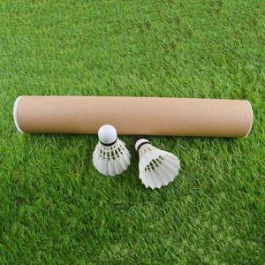 배드민턴 공 스포츠용품 깃털 셔틀콕 12개입 DD-11386