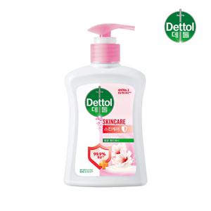 데톨 스킨케어 핸드워시 250g x1개
