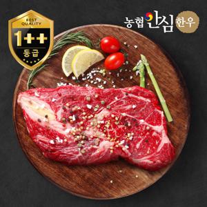 농협안심한우 1++등급 한우 등심 500g(냉동)