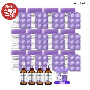 NEW 최신상 웰라쥬 캡슐 앰플 시즌4 라벤더패키지