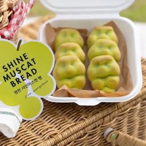 영천샤인머스켓빵 총24개(28gx12개x2박스)