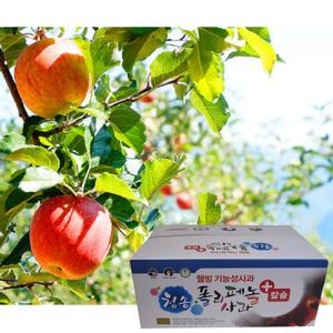 [GAP인증]청송 폴리페놀 사과세트 4kg 21-28과(꼬마사과)