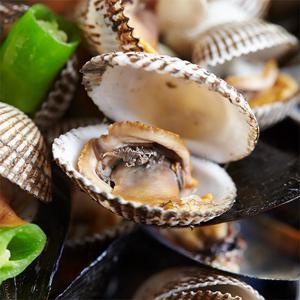 [산지직송] 전남 여수 싱싱한 새꼬막 5kg