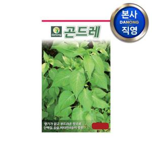 곤드레 (고려엉겅퀴) 씨앗 400g . 채소 텃밭 재배 주말 농장 파종 씨 종자.