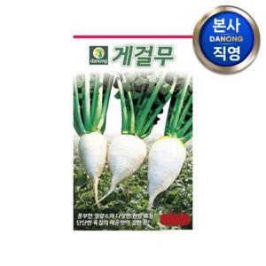 게걸무 씨앗 500립 . 단단한 토종무 무우 채소 주말 농장 텃밭 재배 종자.