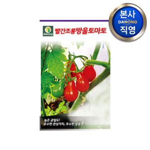 빨간조롱 방울 토마토 씨앗 50립 . 빨강 씨 종자 텃밭 채소 키우기 재배.