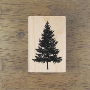 아트박스/스탬프 하우스 [크리스마스]에버그린(Evergreen)