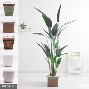 조화나무 인조나무 스카이버드 화분 set 220cm 조화 인테리어 조경 장식 대형 카페