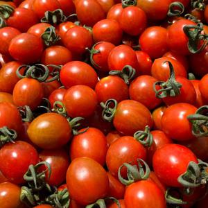 국내산 대추방울토마토 2kg 로얄과 (1-3번과)