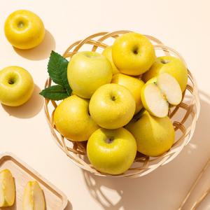 황금사과 시나노골드 주스용 랜덤과 10kg