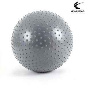 아이워너 마사지 짐볼 65cm -실버