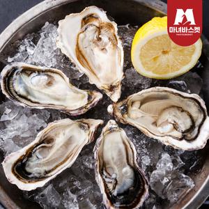 [마녀바스켓] 통영 하프셀굴 반각굴 (23~26미)