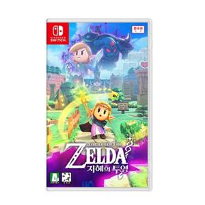 닌텐도 스위치 젤다의 전설 지혜의 투영
