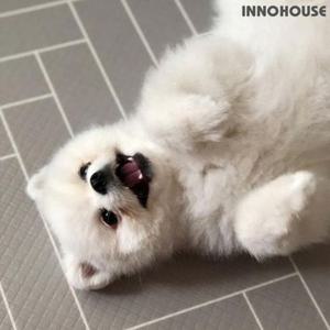 (행사) 이노하우스 프렌즈 애견매트 강아지매트 (중)