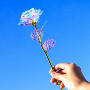 [갓샵]홀로그램 장미 크리스탈 꽃 기념일 선물 패키지