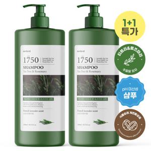 [1+ 1] 메르헨트 티트리 대용량 샴푸 1500ml 약산성 미용실 퍼퓸