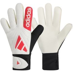 [정품] 아디다스 코파 GL 클럽 골키퍼장갑 (JH3789)