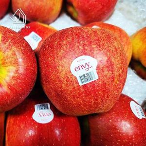 갤러리아_[정품] 프리미엄 달콤한 엔비 사과 2kg(8-12과내외)