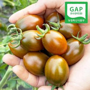 [GAP인증] 당일수확 경남직송 흑 대추방울토마토 1kg