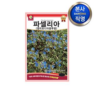 파셀리아 켈리포니아블루벨 씨앗 500립 . 야생화 봄 가을 꽃 파종 꽃씨 종자.