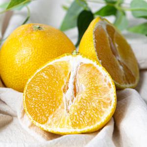 [맛군] 제주직송 새콤달콤 노지 황금향 랜덤과 5kg