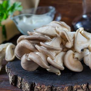 늘바른 국내산 친환경 무농약 느타리버섯200g3팩