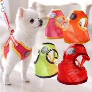 에어매쉬 애견리드줄 리드줄 세트 가슴줄 하네스 (45RQM)