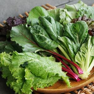 당일 수확 국내산 GAP인증 쌈채소 모듬 4종 1kg