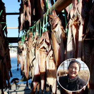 [산지장터]강원도 고성 정춘희님의 코다리 42-50cm 4미