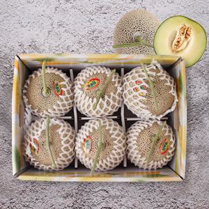 [감동] 머스크 메론 7kg 6수 선물세트