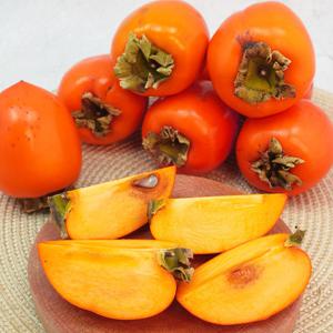 [더조은] 영암 산지직송 대봉감 10kg(36-40과)