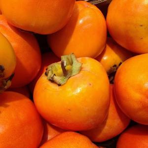 제철과일 고당도 전남 대봉감 홍시 생감 특과/대과 10kg 26-30과