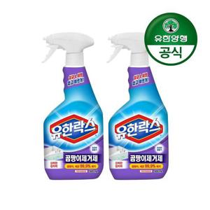 갤러리아_[유한양행]유한락스 곰팡이 제거제 500mL+500mL