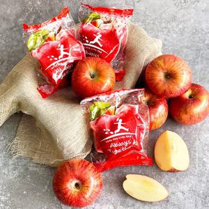 [더조은] 경북 꿀사과 세척사과 정품 2kg 14-16과