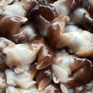 여수 완전손질 새조개살 특품 400g내외(손질전2kg내외)