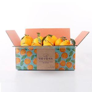 제주 당도선별 한라봉 4.5kg 16-24과 중과