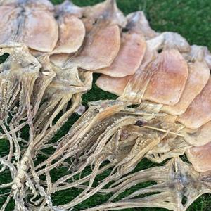 동해안 햇 마른오징어(파품) 500g 파지오징어