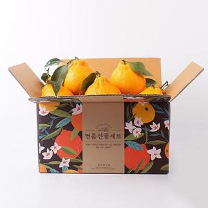 제주 당도선별 한라봉 2kg 12과내외 중소과