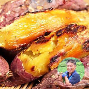 [푸르젠 고구마] 해남 김형식님의 25년산 햇 꿀고구마 5kg(중상)
