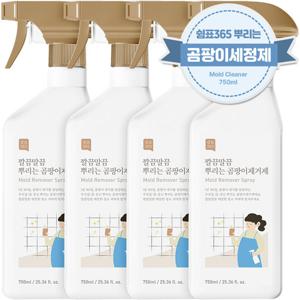 [2+2]쉼표365 깔끔말끔 뿌리는 곰팡이제거제 750ml 대용량 베란다 벽 화장실 욕실 실리콘 벽지 창틀 줄눈