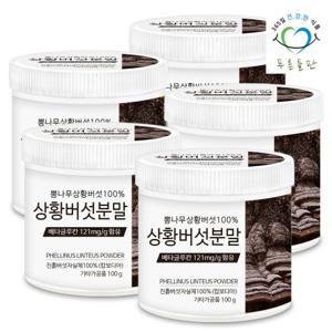 [푸른들판] 100% 상황버섯 분말 가루 차 100gx5통 베타글루칸 함유 뽕나무 목질 진흙버섯