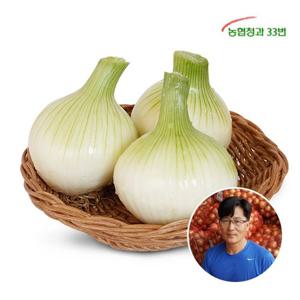 산지장터/전남 화순 조용호대 님의 아삭아삭 양파 8kg / 대사이즈