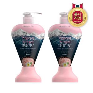 히말라야 핑크솔트 펌핑치약 플로럴민트 285g 2개