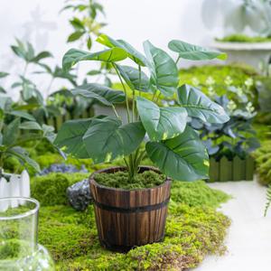 몬스테라 스킨답서스 조화 화분 플랜테리어 나무 set 40cm 3타입 인테리어 식물 테이블 장식 소품 꾸미기