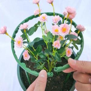 식물 화분 넝쿨 화초 넝쿨식물 지지대 (WDAE30F)