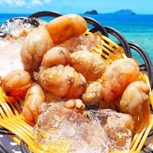 마산 진동 당일바리 제철 햇 오만둥이 500g+500g+500g (총 1.5kg) 횟감용 신선도